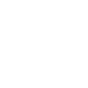 İstanbul Büyükşehir Belediyesi 